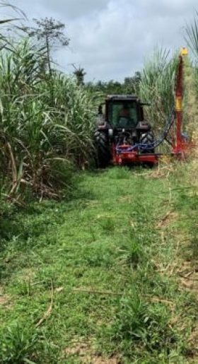 agrofibre (3) agrofibre (3)